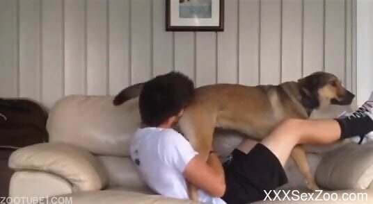 Gay lad involves dog in sexual kinks during home alone XXX