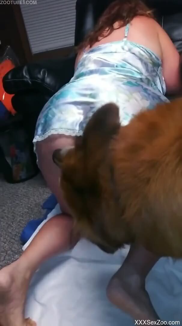 Half-naked woman allows curious dog to lick her pussy and ass