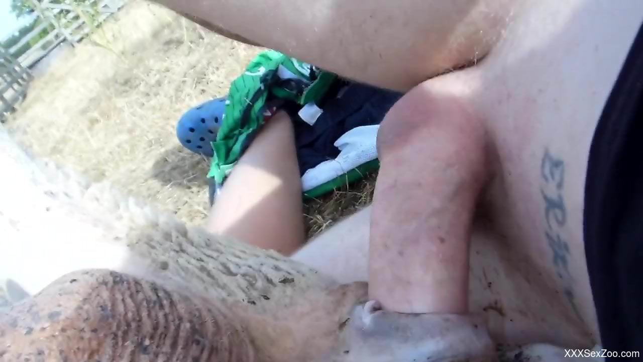 Guy's cock is doing some damage in a beastufck vid