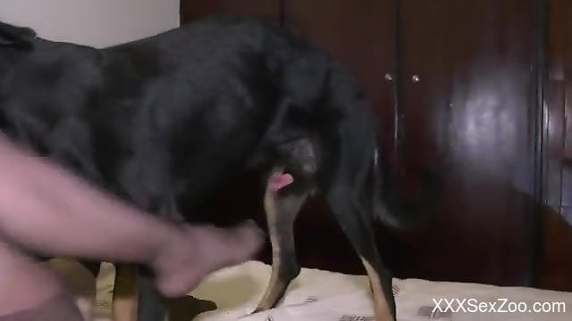 MILF in stockings gets ravaged while still asleep