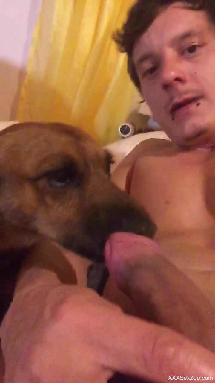 Dude places his yummy penis in the dog's hot mouth