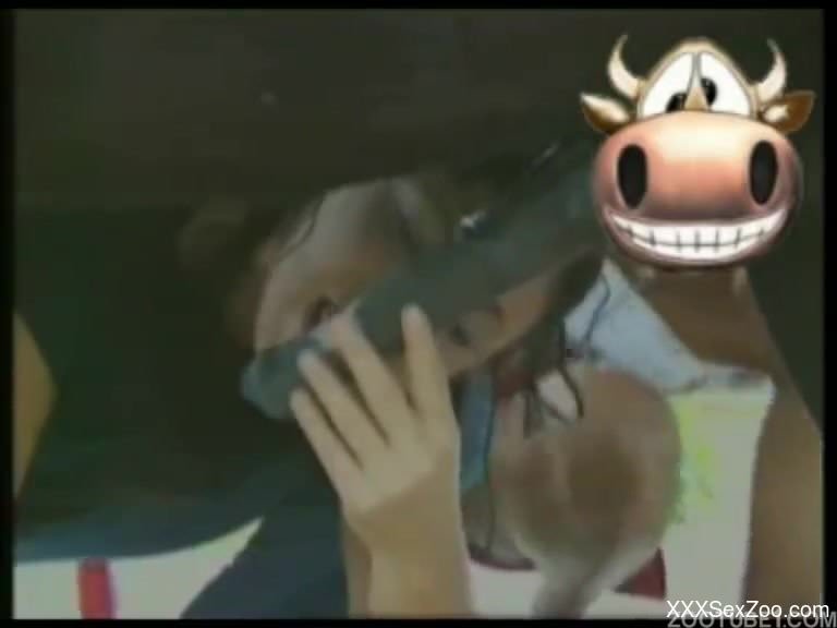 Two beautiful zoophiles brunettes are sucking horse dick