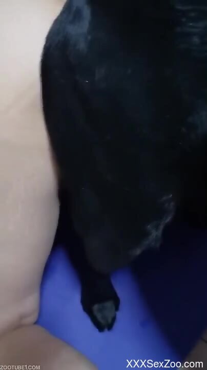 Naked woman lands dog's hefty cock in both her tight holes