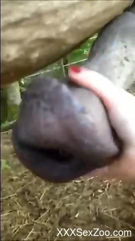 Bitch holds giant horse dick and wants to fuck with it