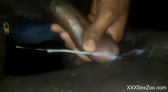 Horny man deep drills animal's ass and pussy on cam