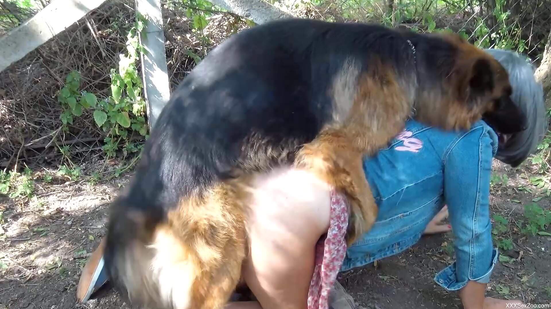 Furry animal loudly fucks half-naked woman in the pussy