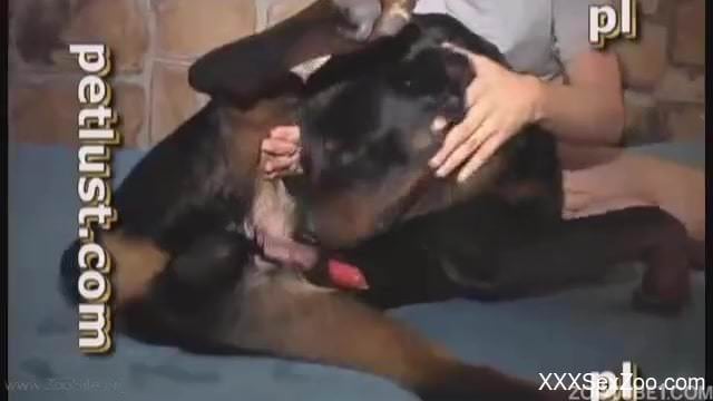 Filthy cocksucker gives his doggy a passionate deep blowjob