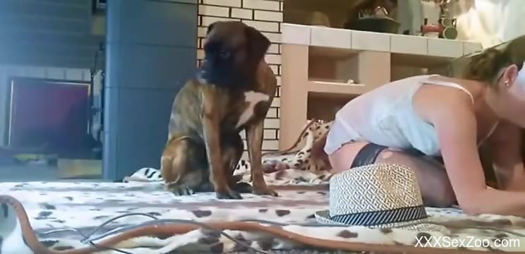 MILF in sexy lingerie, naughty home zoophilia on cam