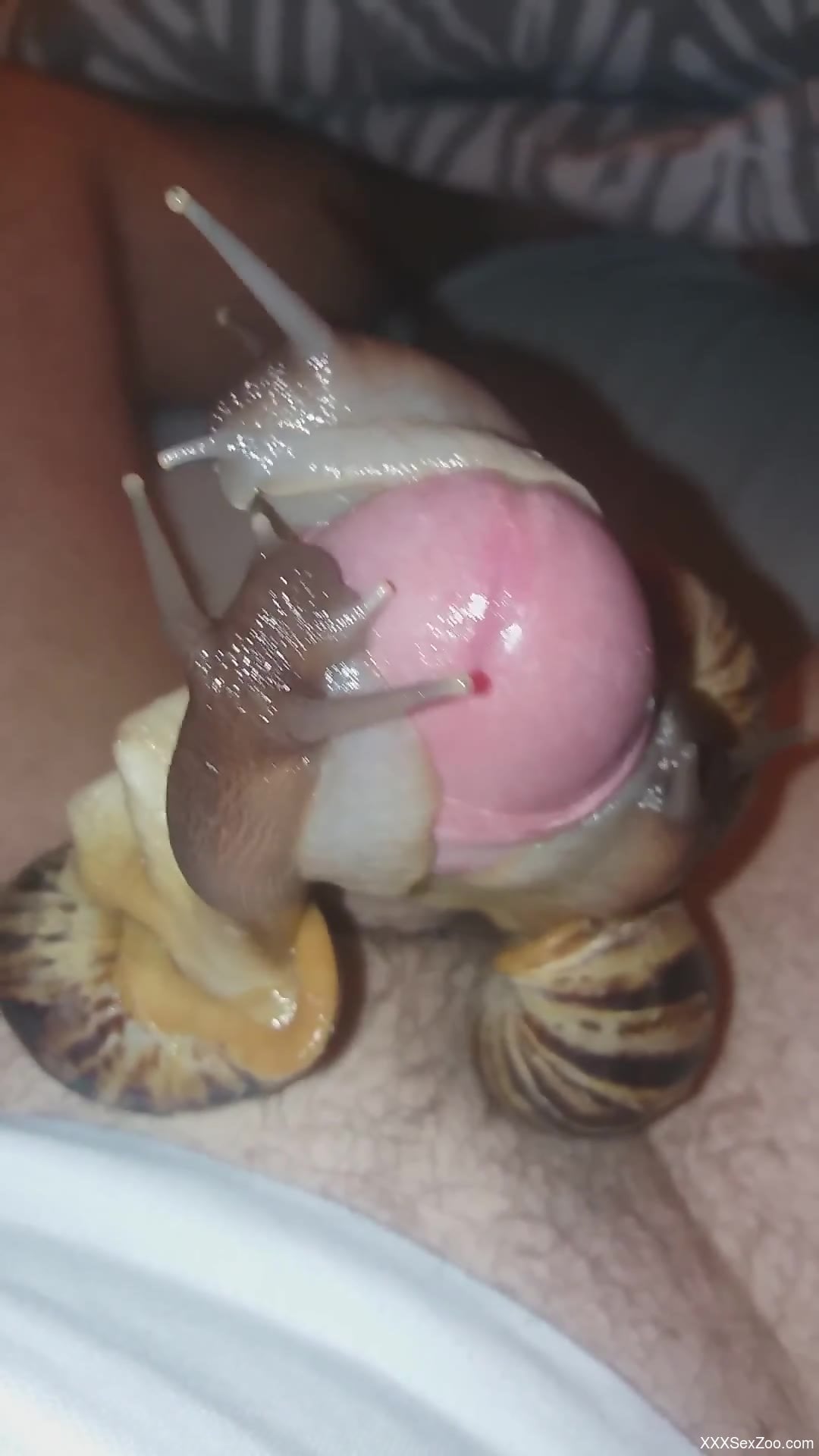 Hot dude cannot stop fucking snails in POV