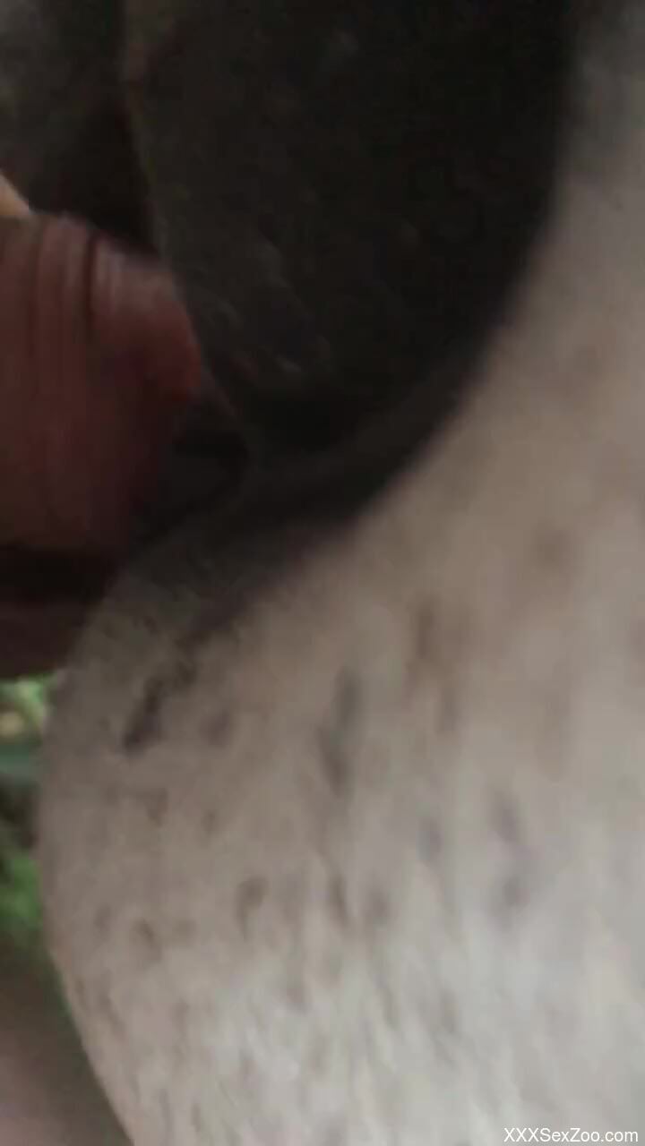 Hot pussy of a mare is getting banged by a hot guy