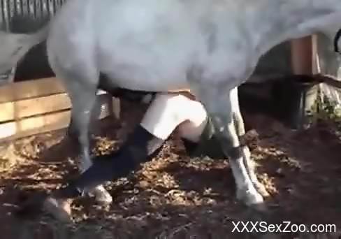Horse trains that asshole with its colossal cock