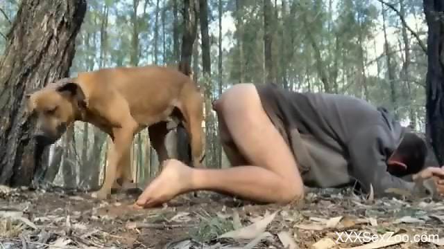 Gay dude in a hoodie fucked in the ass outdoors