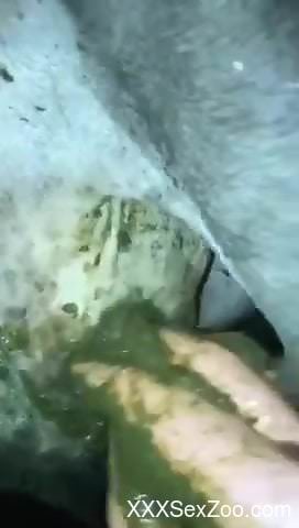 Closeup video with messy fucking with hot animals