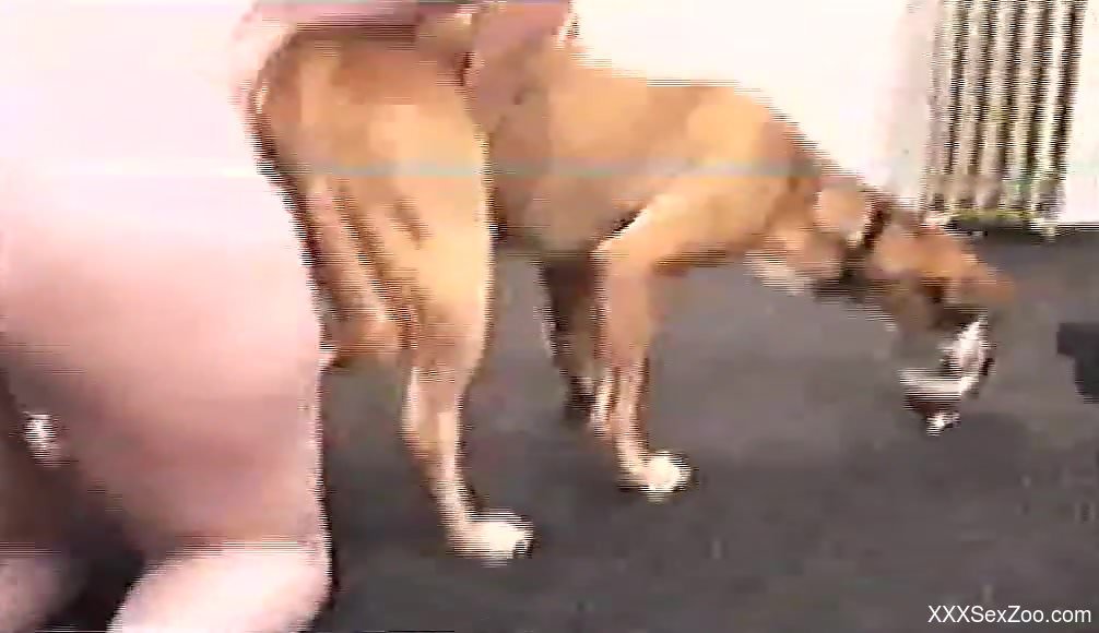 Horny blonde wants this dog's hard, sexy cock