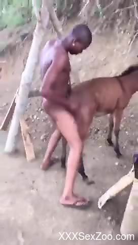 Horny dude is happy to fuck a random animal on cam
