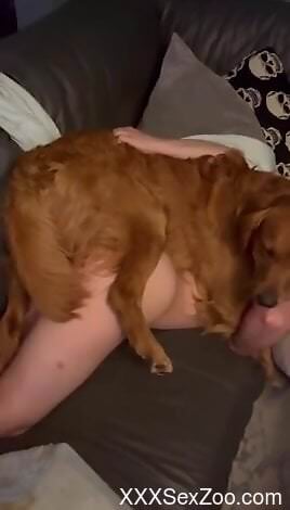 Dog fucks naked woman and comes inside her ass