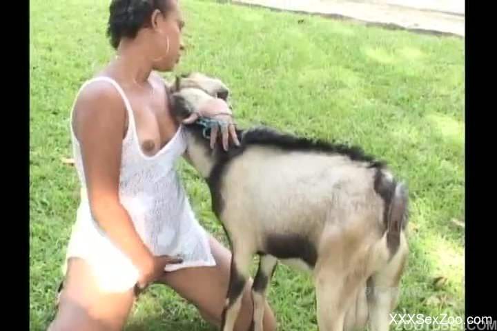 Nasty anal amateur bestiality dog fuck with a trained shepherd