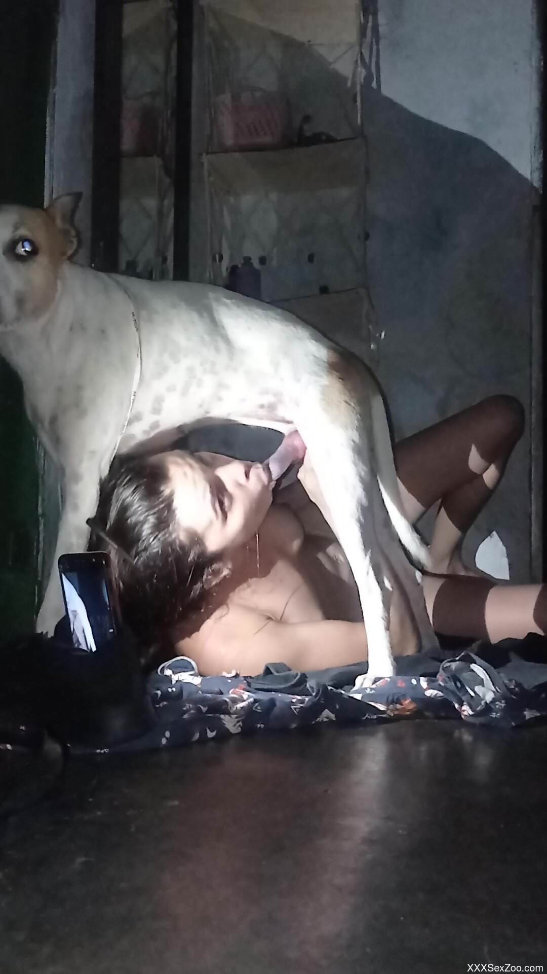 Dog fucks naked woman after she gives excellent blowjob