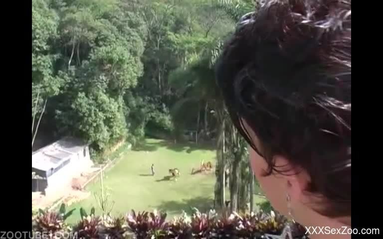 Black dress brunette fucks a big-dicked horse