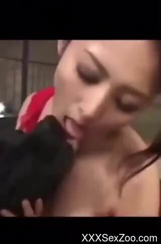 Compilation of hot fucking with sexy animals