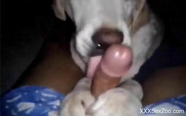 POV blowjob video with a horny beast and the owner