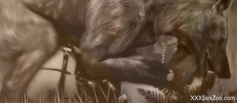 3D zoophile porn with a bitch that moans loudly