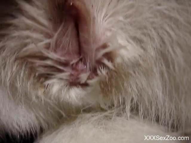 Guy stimulates wet vagina of his white kitty