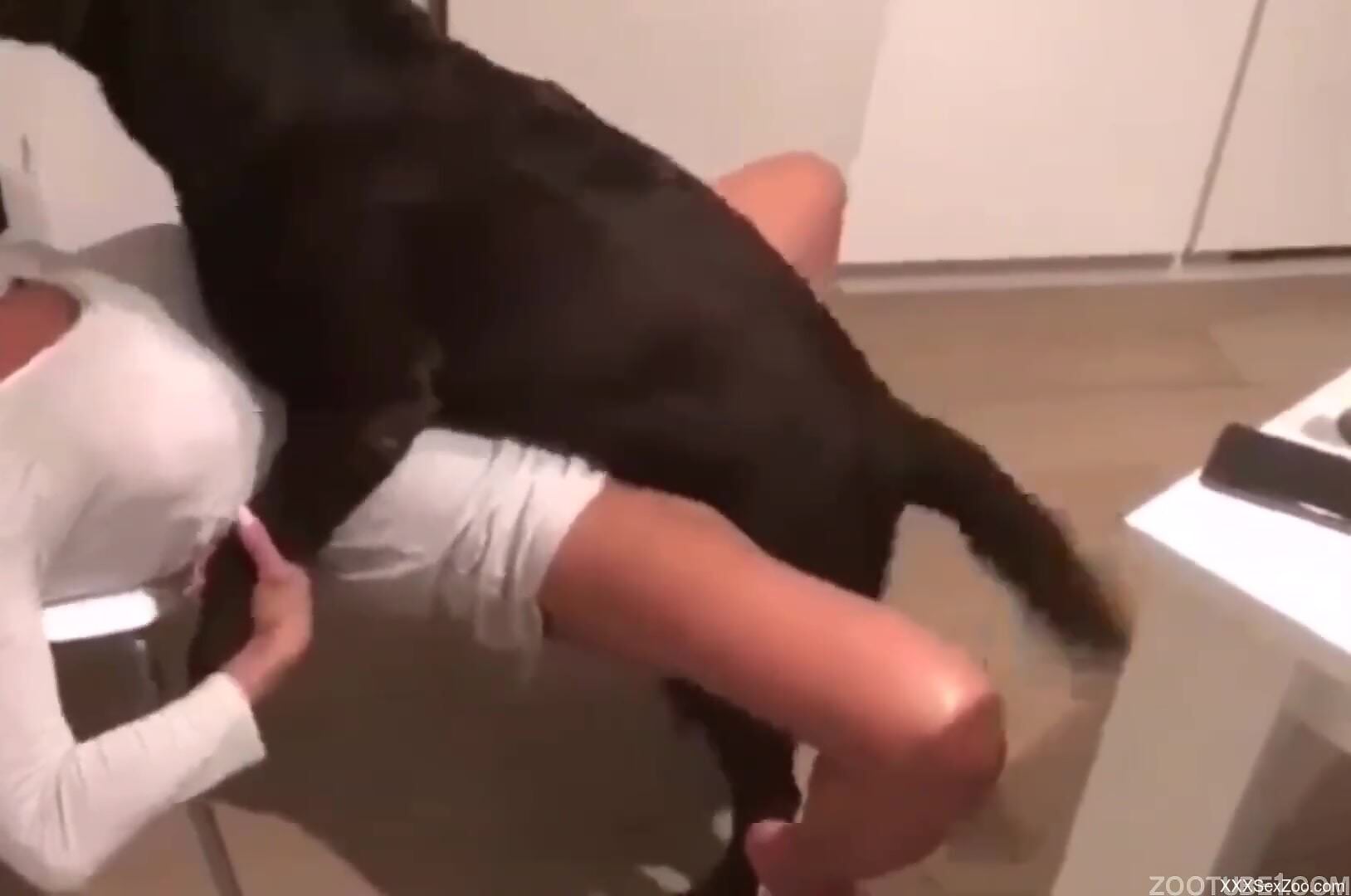 Sexy female enjoys tasty dog dick down her cunt in home XXX
