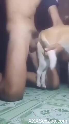Hot animal getting fucked by a twisted zoophile