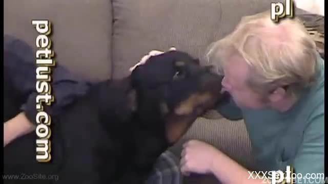 Angry doggy with massive meaty cock in the family of zoophiles