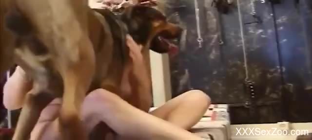 Innovative bestiality fuck with a blonde hoe