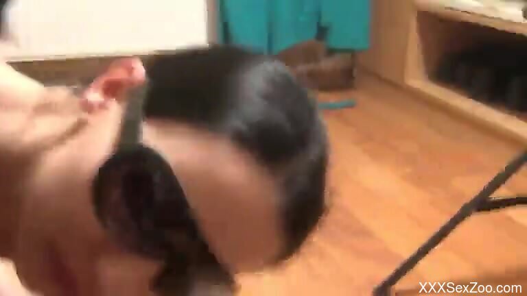 Brunette filmed trying tasty dog dick in her mouth and cunt