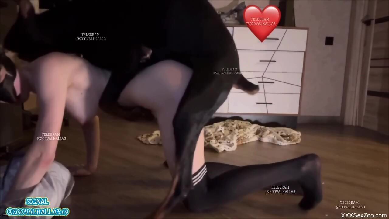 Cock sucking man shares naughty angles of viewing