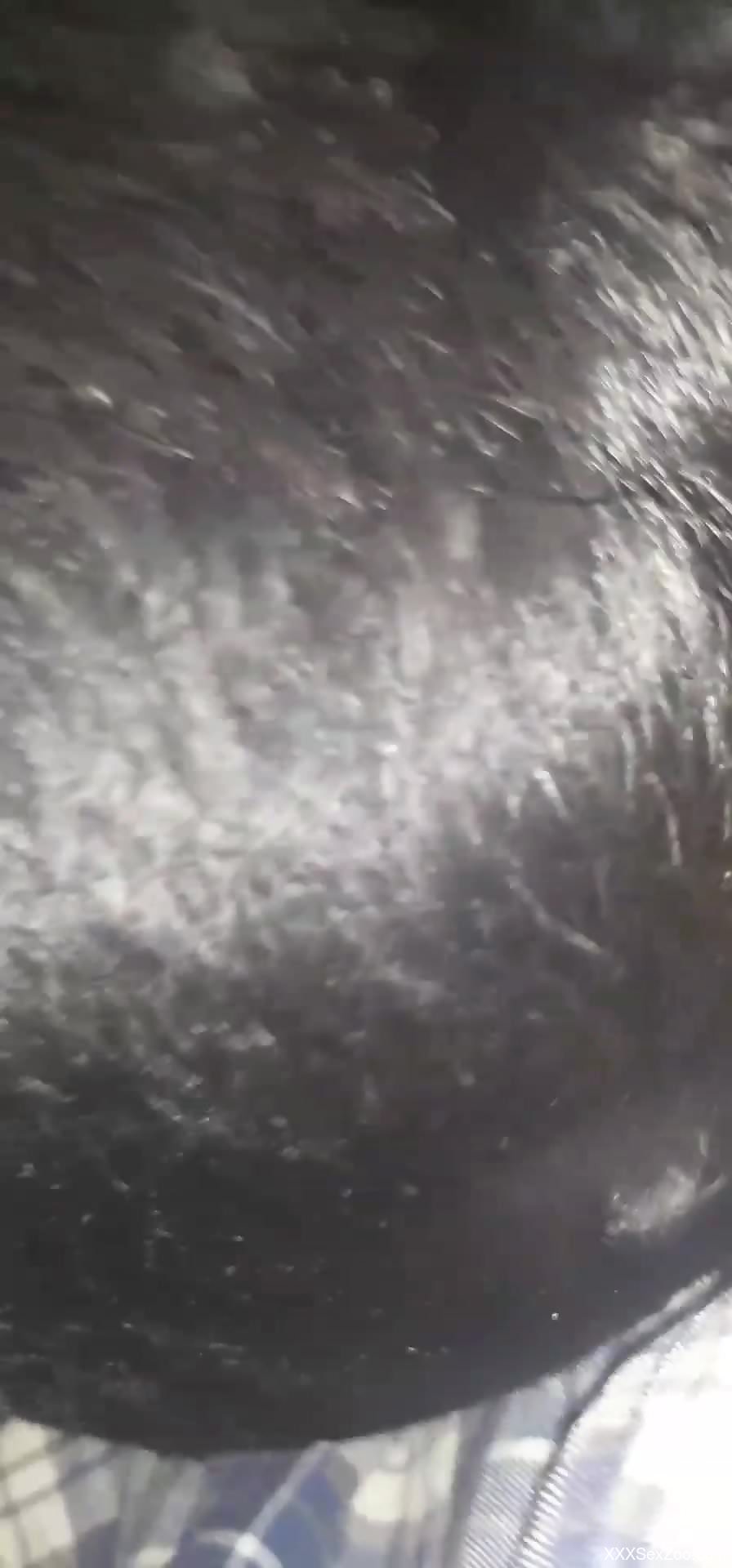 Awesome close-up zoo fucking with a kinky beast