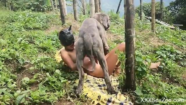 Nude woman appears to be enjoying the dog dick