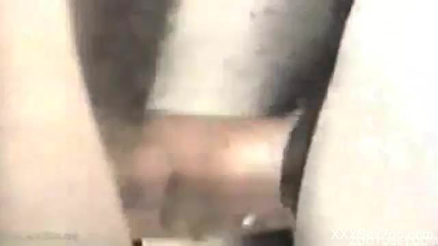 Good horse with big bottom gets nailed in the doggy style pose