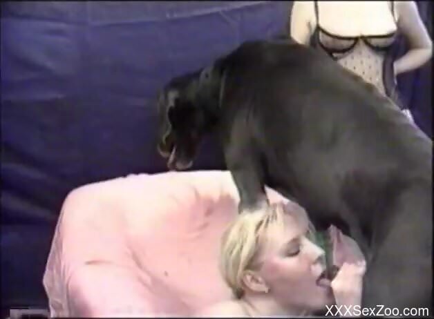 Fine blonde sucks the dog's cock wet as fuck in amazing scenes