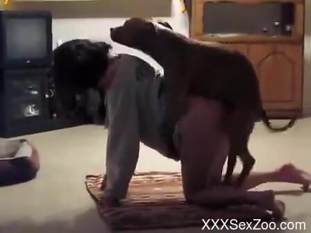 Housewife filmed on the floor getting doggy fucked by her dog