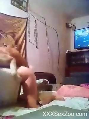 Stiff dog penis plunges inside of a zoophile's hole