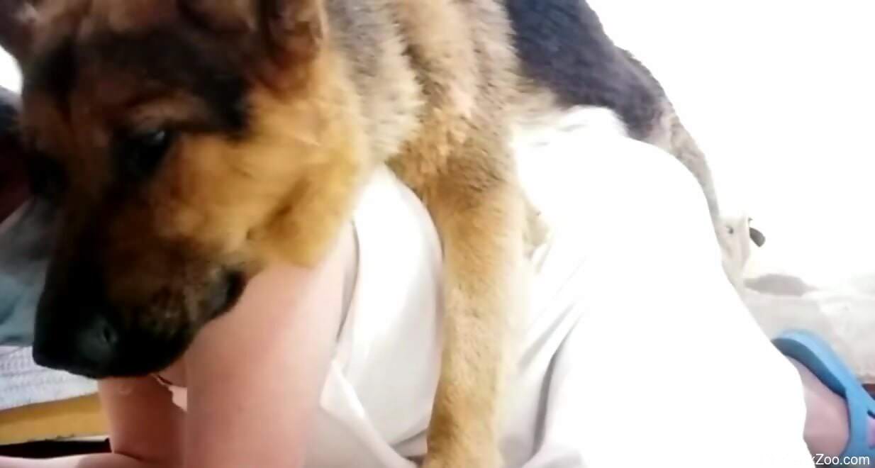 Sexy female feels dog's penis from behind in amazing kinks