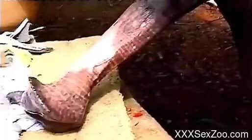 Horse cock is what this hottie needs in her life