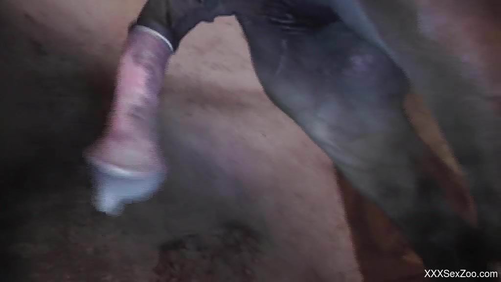 Leather chaps MILF gets fucked hard by a horse