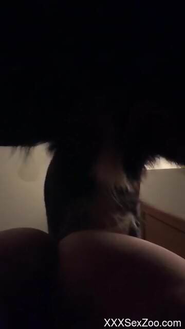 Nude woman tries furry dog dick in each of her wet holes