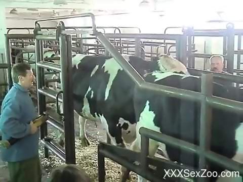 Sexy animals fucking around in a hot zoophilic vid