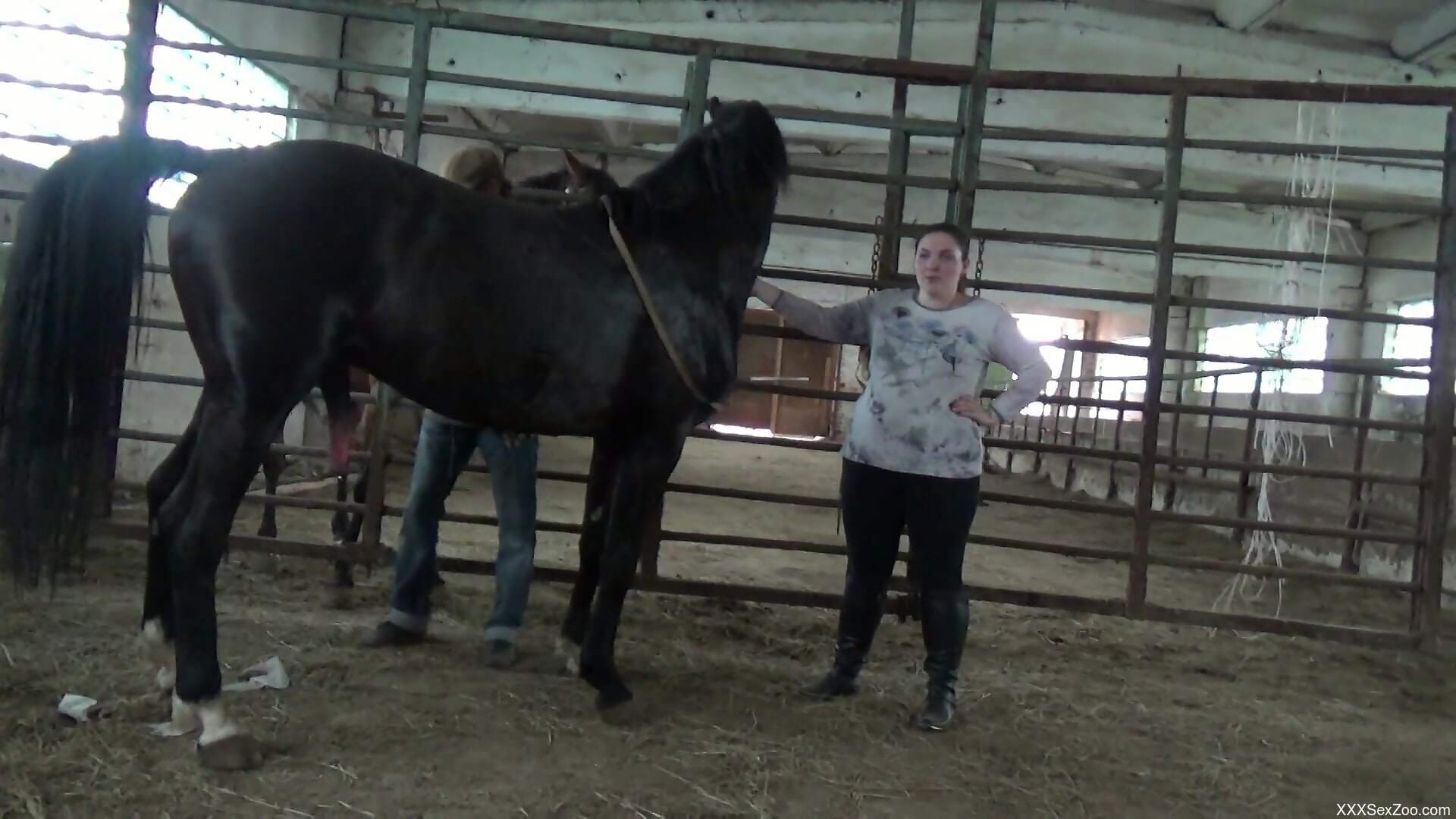 Nude woman is about to feel a big horse cock fully down her cunt