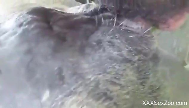 Sexy animal readying its hole for hardcore zoo sex