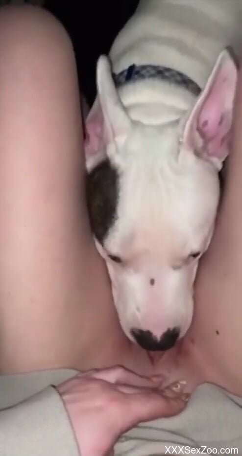 Amateur woman loves the dog between her legs in sexual kinks