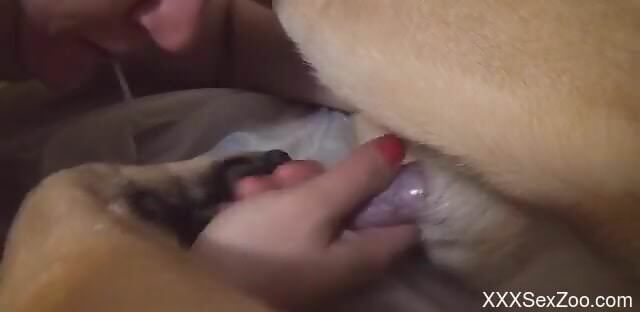Woman sucks the dog dick the slutty way in excellent cam scenes