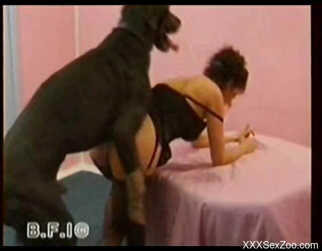 Vintage amateur dog sex makes classy woman come first