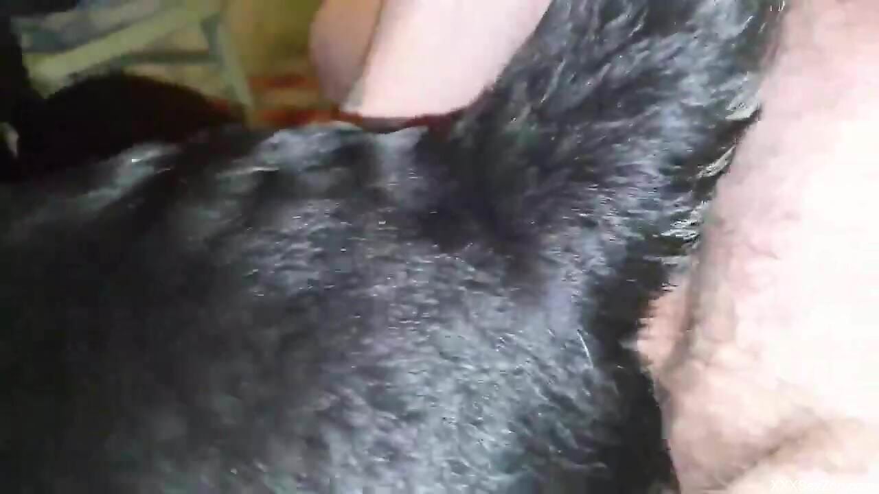 Dude puts his cock to great use in hot dog porn